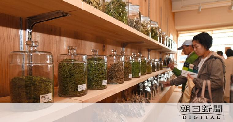 岐阜)薬草楽しむ体験施設オープン 飲んで食べて健康に:朝日新聞デジタル