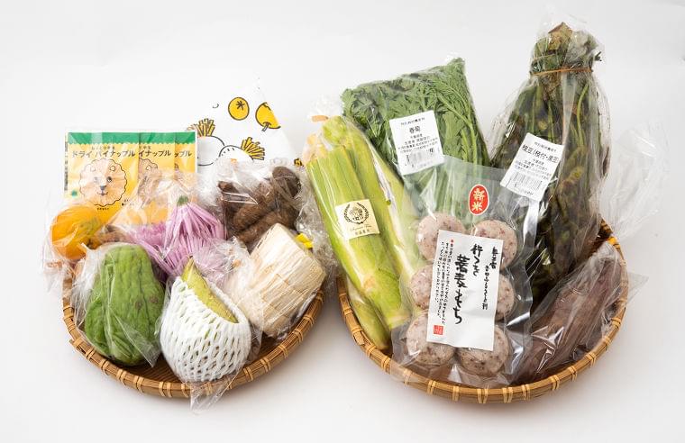 全国から集めた最高の”旬”野菜をお届けする野菜定額配送サービス「ベジバルーン」を開始!!初月購入者に1,000円offキャンペーン!|㈱GAIKENのプレスリリース