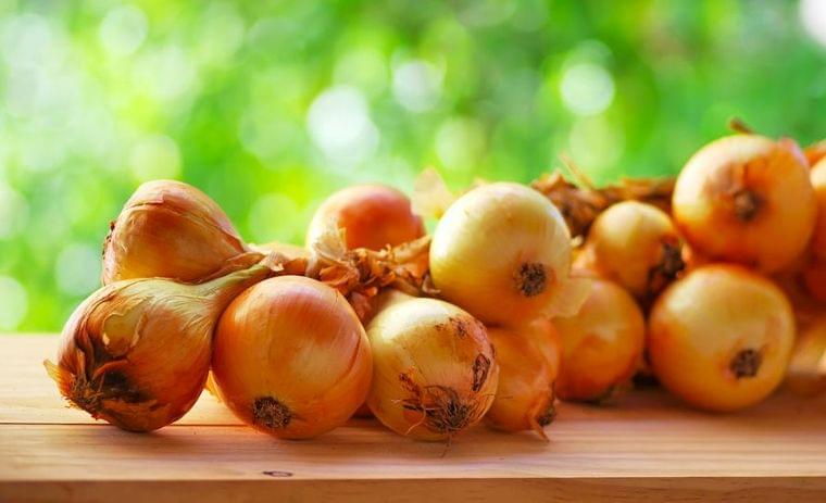 新玉ねぎサラダで疲労回復？新玉ねぎの栄養を逃さない食べ方 - 記事詳細｜Infoseekニュース
