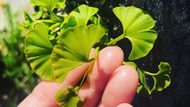 在宅生活で太っちゃった? 今こそ、必要な栄養量を確かめましょう : yomiDr./ヨミドクター(読売新聞)