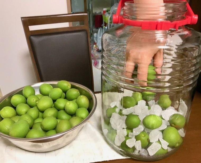 青梅のシーズン！　自家製「梅酒」をおいしく安全に飲める期限は？　保存のコツも解説（オトナンサー） - Yahoo!ニュース