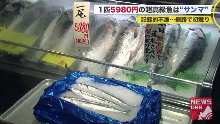庶民の魚→高級魚?記録的不漁サンマ…初競りで「過去最高値」値札は”1匹5980円”(北海道ニュースUHB) - Yahoo!ニュース