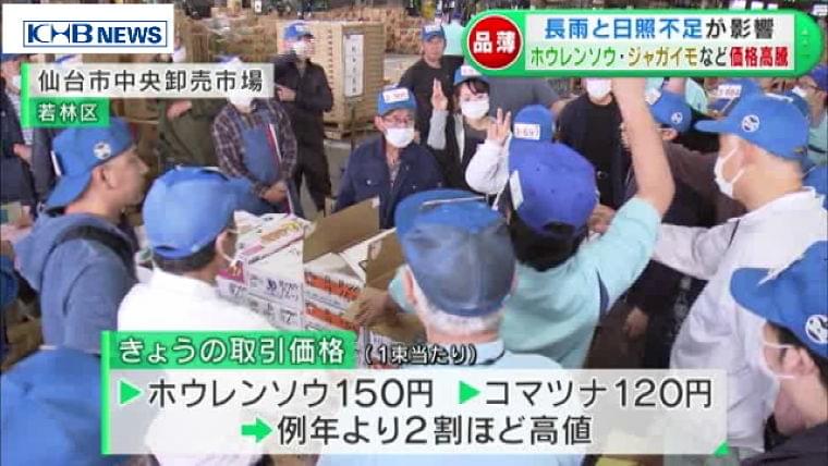 長雨と日照不足でホウレンソウやジャガイモなど高騰(KHB東日本放送) - Yahoo!ニュース