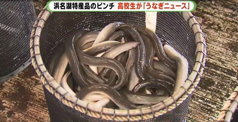 若者のウナギ離れを防げ!「高校生うなぎニュース」 浜松市(テレビ静岡NEWS) - Yahoo!ニュース