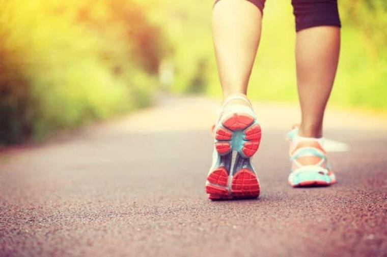 善玉コレステロール増やす　効果高いのは食事？運動？