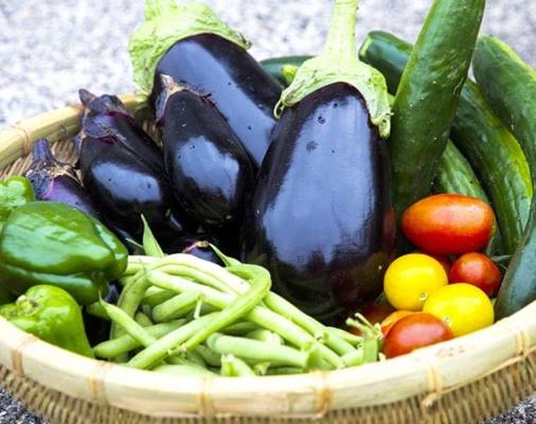 生活習慣のニュース - 食べ方、下処理…夏野菜の栄養をムダにするNG処理5 - 最新グルメニュース一覧 - 楽天WOMAN