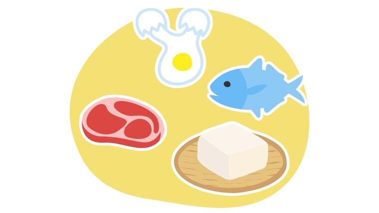蛋白質の総摂取量が多いことが死亡リスクの低さと関連　32件の研究のメタ解析