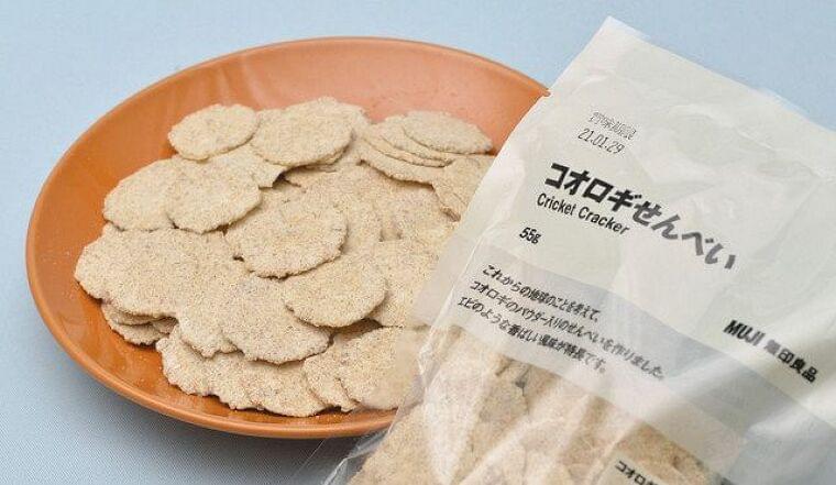 <環境視点>昆虫食、世界が注目 人口増対応 タンパク源:東京新聞 TOKYO Web
