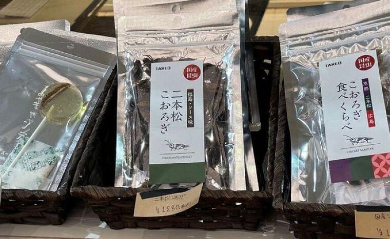 「こおろぎ食べくらべ」「タガメサイダー」「サゴワームとオオスズメバチ幼虫のバターソテー」など集結、東京駅地下「虫グルメフェスVol.0」に多彩な客層|食品産業新聞社ニュースWEB