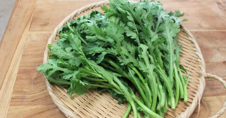 福岡市で販売の春菊、基準値の180倍の農薬を検出 「食べないで」 - 毎日新聞
