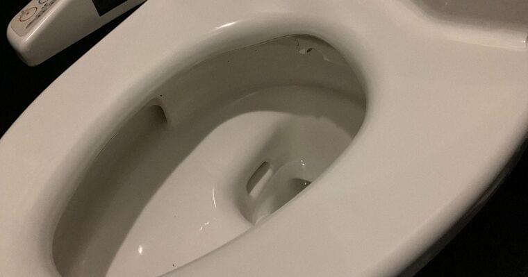 小学生4人に1人便秘の疑い 「排便の大切さ教える教育を」 NPOが1万人調査 - 毎日新聞