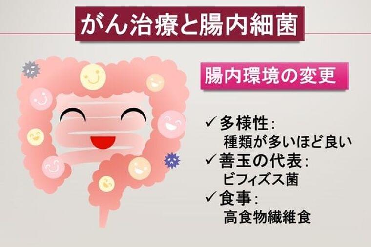 最先端のがん免疫治療、腸内細菌が薬の効きを左右する