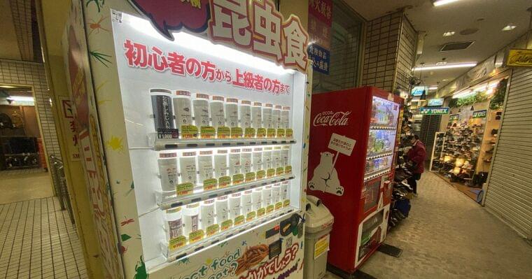 アフターコロナは昆虫食 准教授提言 ゲテモノではなく理想的 | 毎日新聞