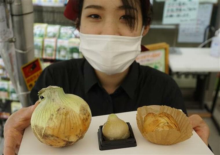 おかしなお菓子「新玉ねぎ」東大阪の新名物に:イザ!