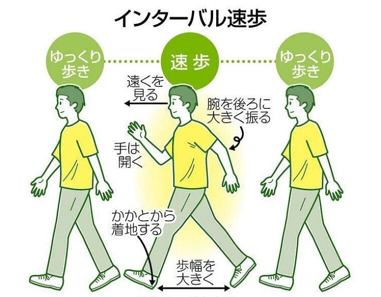 速く、ゆっくり…「インターバル速歩」 継続で高い運動効果:東京新聞 TOKYO Web