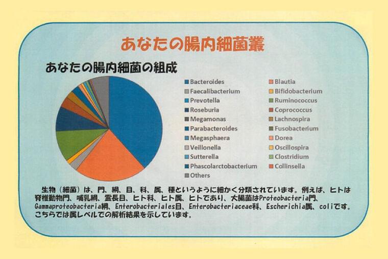 日本人の特徴は? 長寿の秘けつは? 進化する腸内細菌データベース