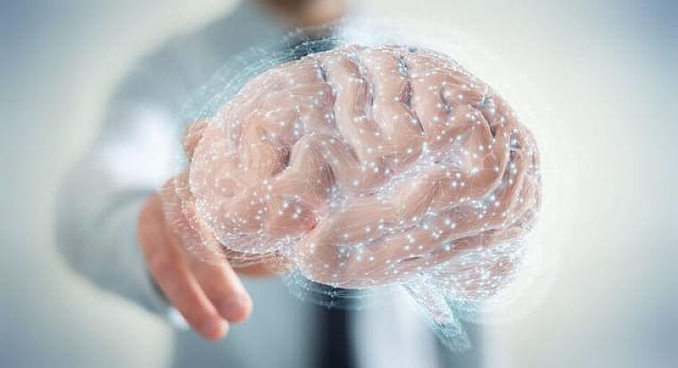 腸を整えるビフィズス菌 認知機能が改善する研究も