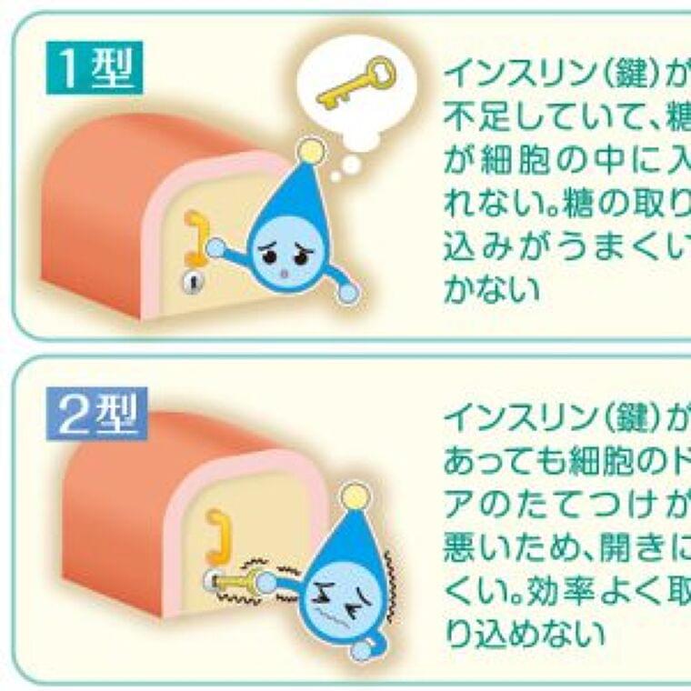 糖尿病は子どものころから予防しよう 1型と2型の違いは? 食事と運動のポイントは? | 子育て世代がつながる - 東京すくすく