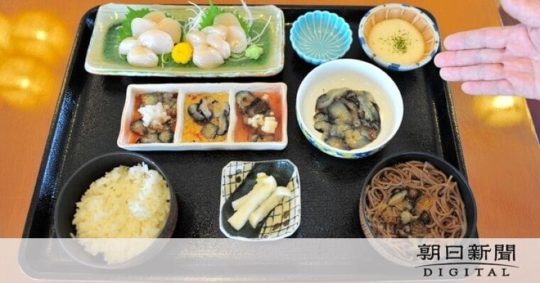 恒例のなまこフェア、不漁と価格高騰で中止に 水揚げは例年の半分:朝日新聞デジタル