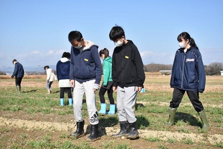 朝食にもち麦、腸内細菌の種類増加傾向 兵庫県加東市などが共同研究