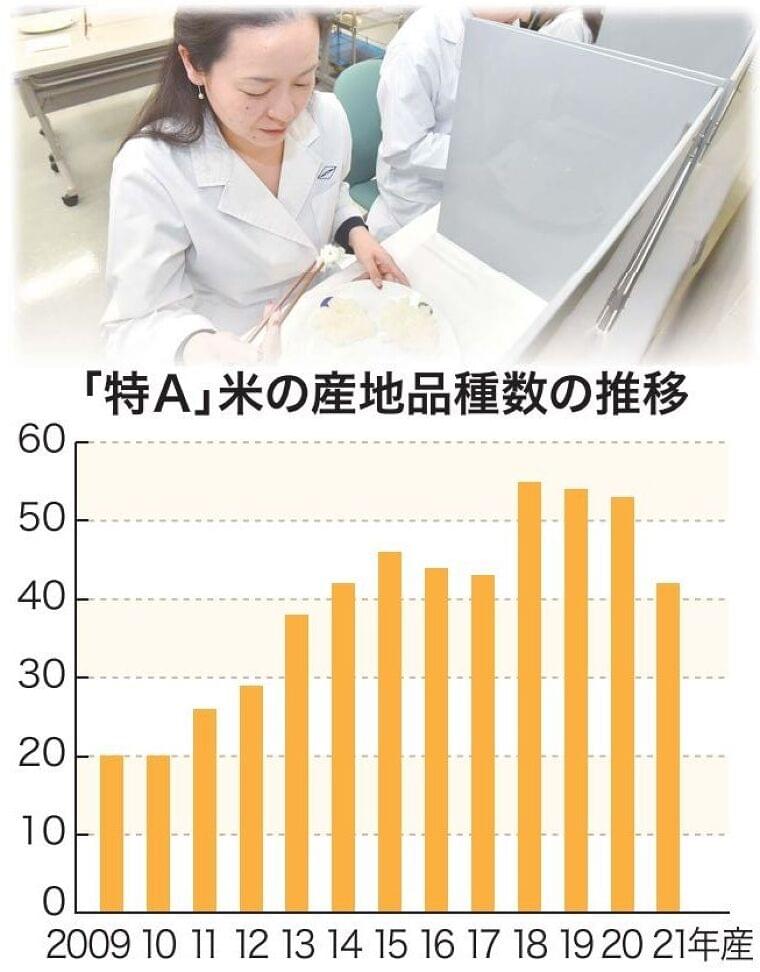 米食味ランキング 「特A」42大幅減 天候不順が影響 / 日本農業新聞