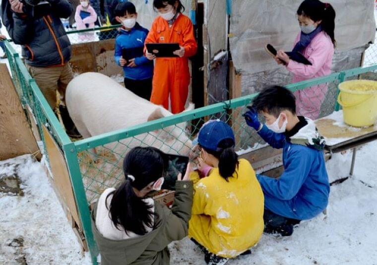 悲しいけれど、ありがとう 豚と共に4カ月半 飼育・出荷・給食で口に 長野・伊那小4年の39人 / 日本農業新聞