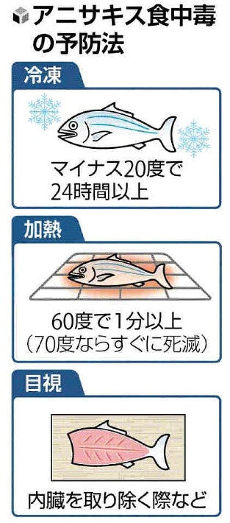 アニサキス食中毒相次ぐ、みぞおちの激しい痛み・吐き気…「加熱・冷凍処理で予防を」 : 読売新聞オンライン