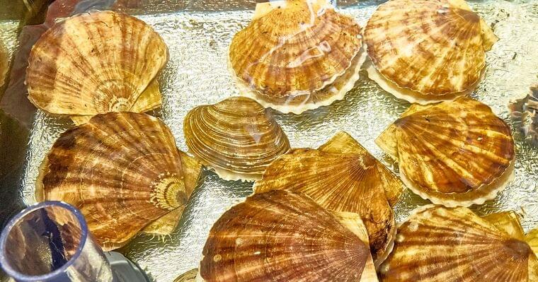 納豆アレルギーと「ホタテ」に意外な関係の可能性、北大の研究結果とは | ヘルスデーニュース | ダイヤモンド・オンライン