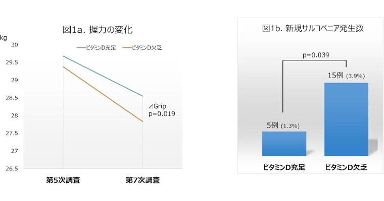ビタミンD不足が将来的なサルコペニア発症を誘発する可能性、名大などが報告 (1) | TECH+(テックプラス)