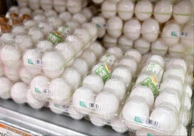 卵不足深刻、外食大手の3割で卵を使ったメニュー休止…パンケーキや茶わん蒸しなども | ヨミドクター(読売新聞)