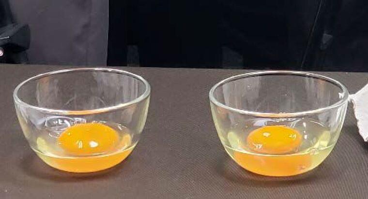 キユーピーと広島大学 アレルギー低減卵を開発、主要アレルゲン「オボムコイド」を含まない鶏卵、オランダの学術誌に論文掲載 | 食品産業新聞社ニュースWEB