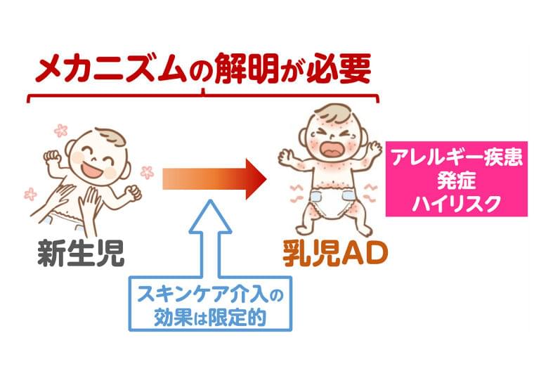 妊娠中の野菜摂取が乳児のアトピー性皮膚炎を予防する可能性|国立大学法人千葉大学のプレスリリース