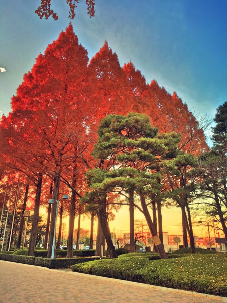 Iphoneで写真をアニメ風に加工できるのか 株式会社ecn