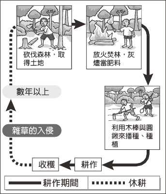游耕 - 翰林雲端學院