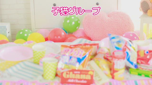 ​【子猫グループ】子猫グループってどんなお店？【SNOWで撮影Part.1】 2026-08-18 08:00:46 | 子猫カフェ店長ブログ