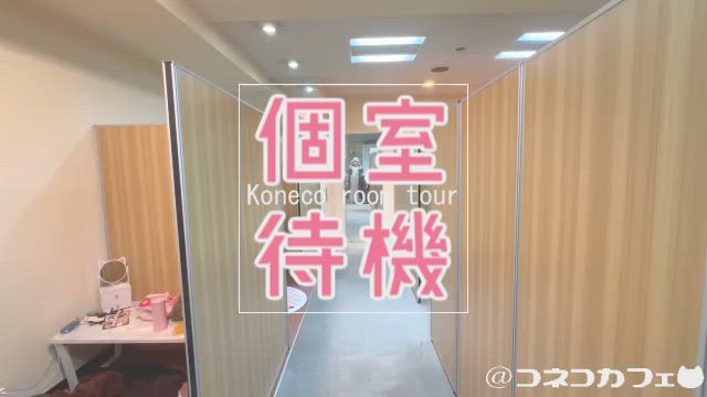【リニューアル！】子猫グループの個室待機室をにゃんこスタッフがご案内♪ 2026-08-18 12:00:43 | 子猫カフェ店長ブログ