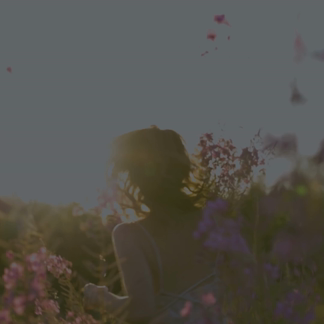 らんぷ鶯谷店　求人動画 2025-11-18 16:59:44 | らんぷグループ鶯谷店店長ブログ