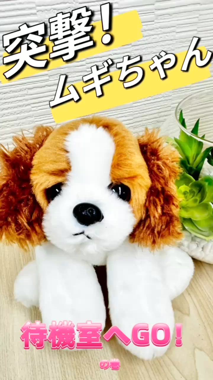 突撃ムギちゃん～待機室へGO！の巻き～ 2026-02-13 21:47:33 | 婀娜めく人妻リリス 本庄店店長ブログ