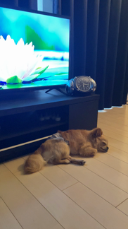 prmovie_202307132344491689259489-00001