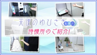 prmovie_202206131654351655106875-00001