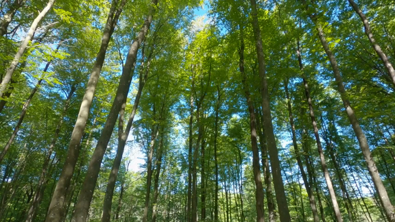 prmovie_202404170947461713314866-00001