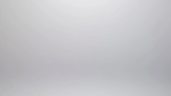 prmovie_202410150246281728927988-00001