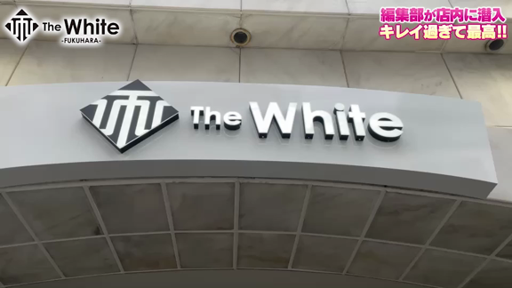 prmovie_202306142141521686746512-00001