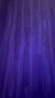 prmovie_202411201255111732074911-00001