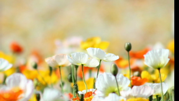 prmovie_202304062115001680783300-00001