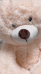 prmovie_202110160032201634311940-00001