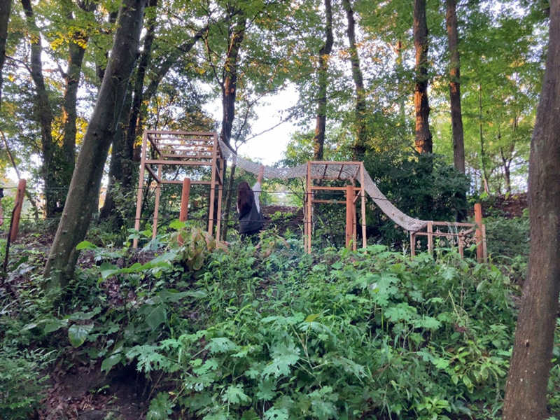 住宅建築2月号に「Wood Structure Artの森」が掲載されました