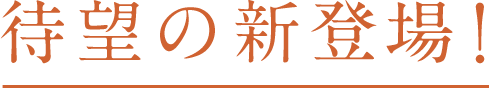 待望の新登場!