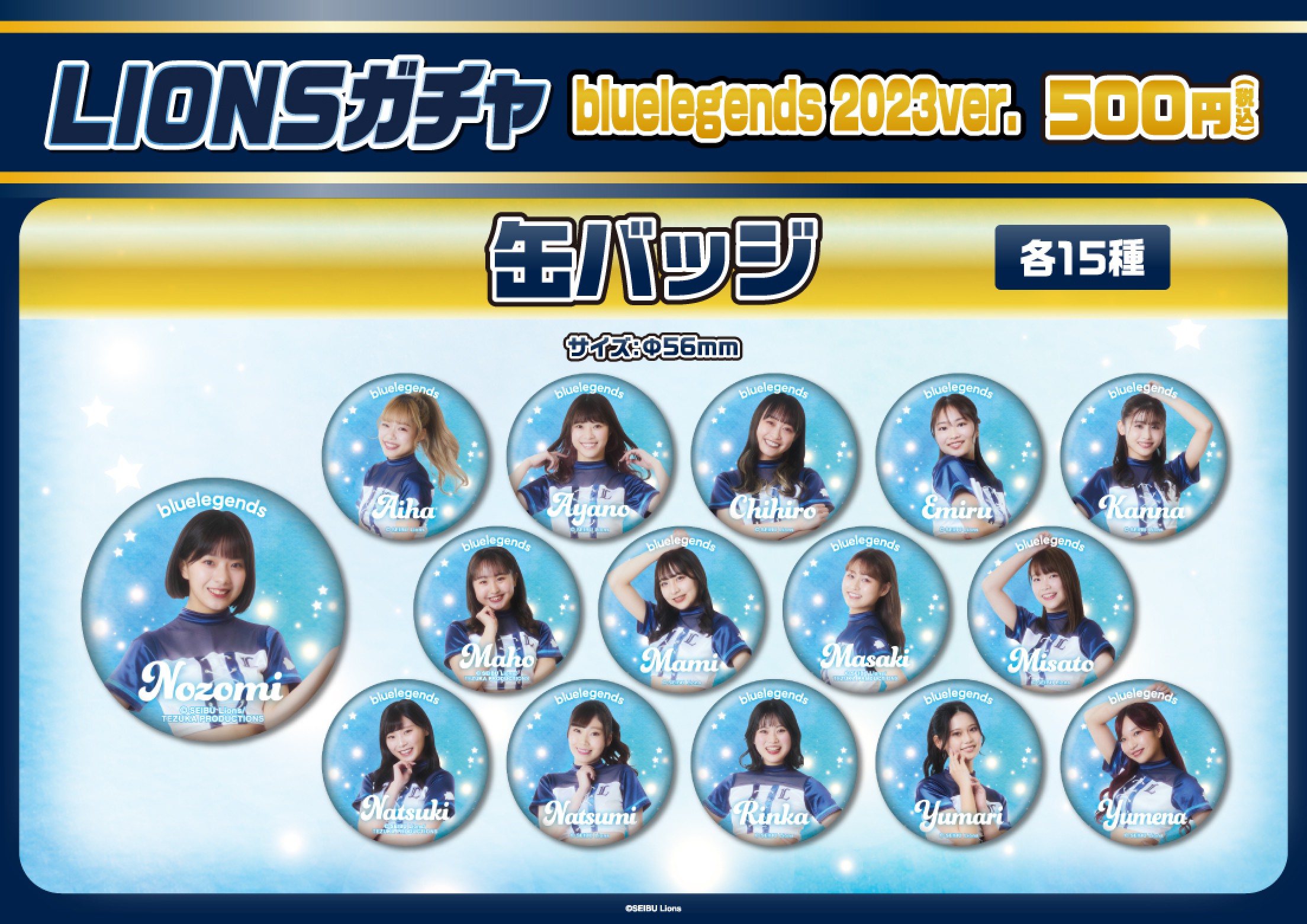 97%OFF!】 埼玉西武ライオンズ bluelegends Emiru 各種 yes-netzwerk.de