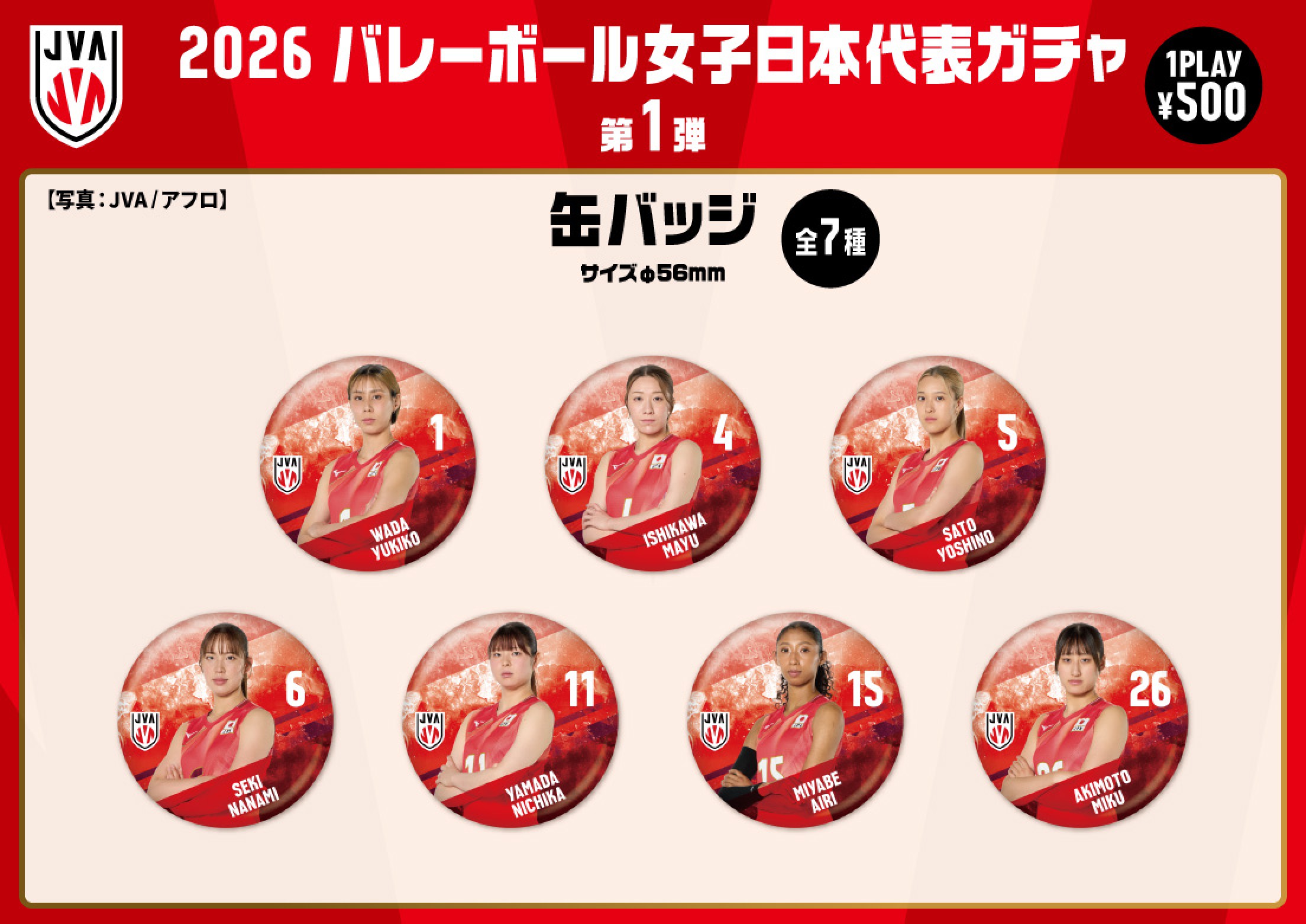 バレーボール女子日本代表】2026 バレーボール女子日本代表ガチャ 第1
